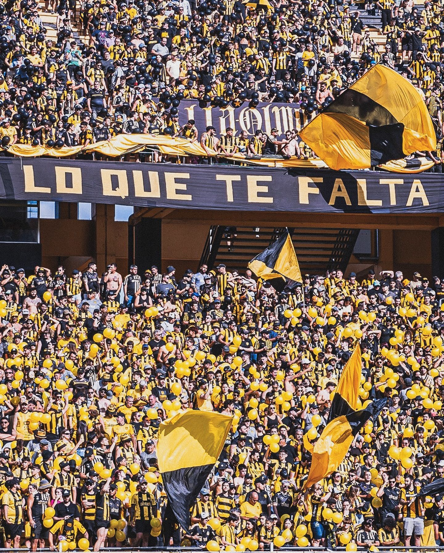 Torcida visitante: o que diz o regulamento da Conmebol e a posição do Botafogo