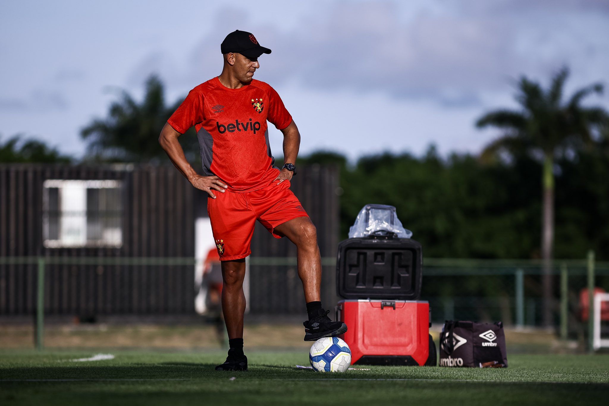 Ex-Cruzeiro, Pepa tem início avassalador como técnico do Sport; veja