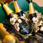 Plop Champagne: Borbulhas que marcaram 2024