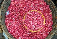 Queda na demanda pressiona preço do feijão no fim de março