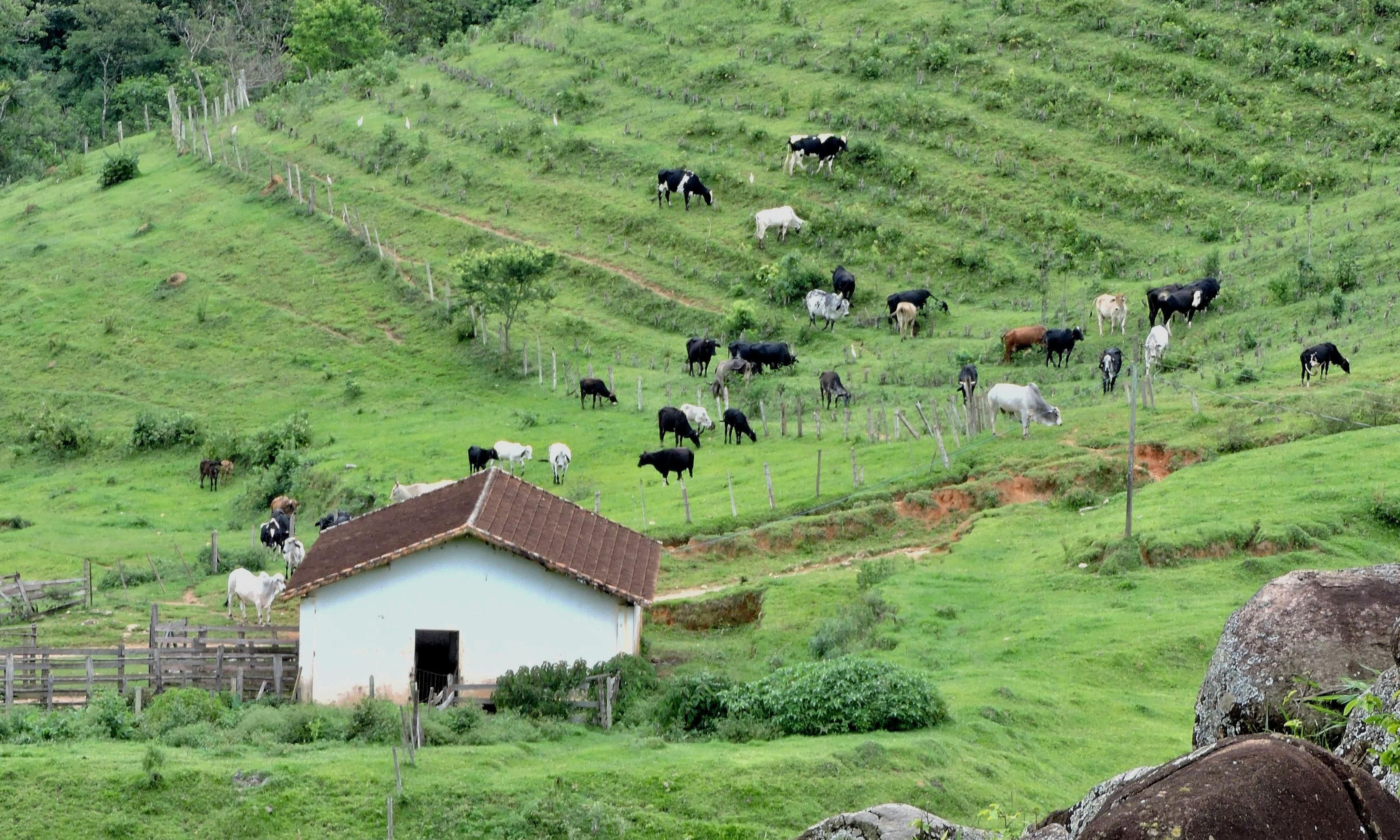 Turismo rural ganha força em MG e vira fonte de renda no campo