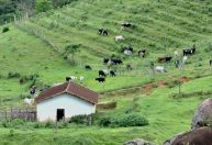 Turismo rural ganha força em MG e vira fonte de renda no campo