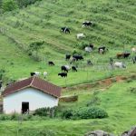 Turismo rural ganha força em MG e vira fonte de renda no campo
