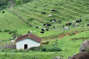 Turismo rural ganha força em MG e vira fonte de renda no campo