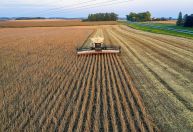 Produtor de MG tem até 31 de março para cadastrar safra de soja junto ao IMA