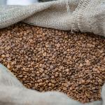 Exportação de café do Brasil bate recorde em agosto e movimenta US$ 1,3 bilhão