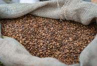 Exportação de café do Brasil bate recorde em agosto e movimenta US$ 1,3 bilhão