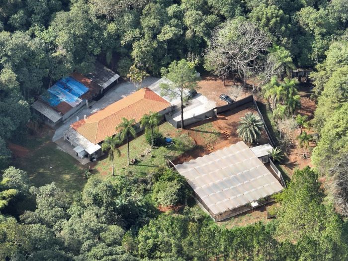 O homem mantinha uma plantação com 125 pés de maconha
