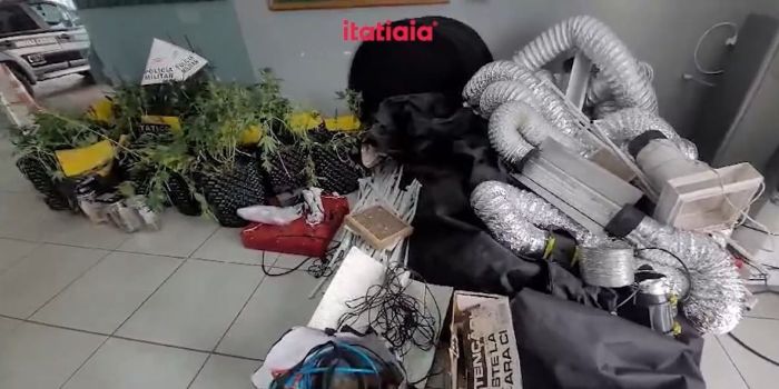 Laboratório com 19 pés de maconha foi encontrado no bairro Novo Riacho, em Contagem; drogas eram vendidas na região Centro-Sul de BH.