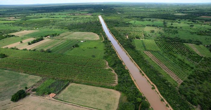 Polo de Jaíba é referência em fruticultura no Norte de Minas 