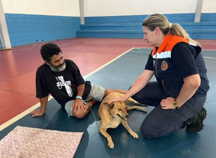 Prefeitura e Defesa Civil do Estado de São Paulo já resgataram mais de 60 animais em áreas atingidas. Prefeitura e Defesa Civil do Estado de São Paulo já resgataram mais de 60 animais em áreas atingidas.