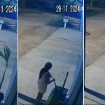 Roubo do pisca-pisca: vídeo mostra mulher furtando decoração natalina