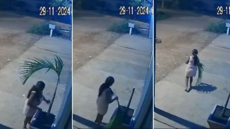 Roubo do pisca-pisca: vídeo mostra mulher furtando decoração natalina em RO | CNN Brasil
