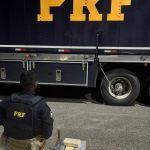 PRF apreende cerca de R$ 1 milhão em drogas na BR-365, em Patos de Minas