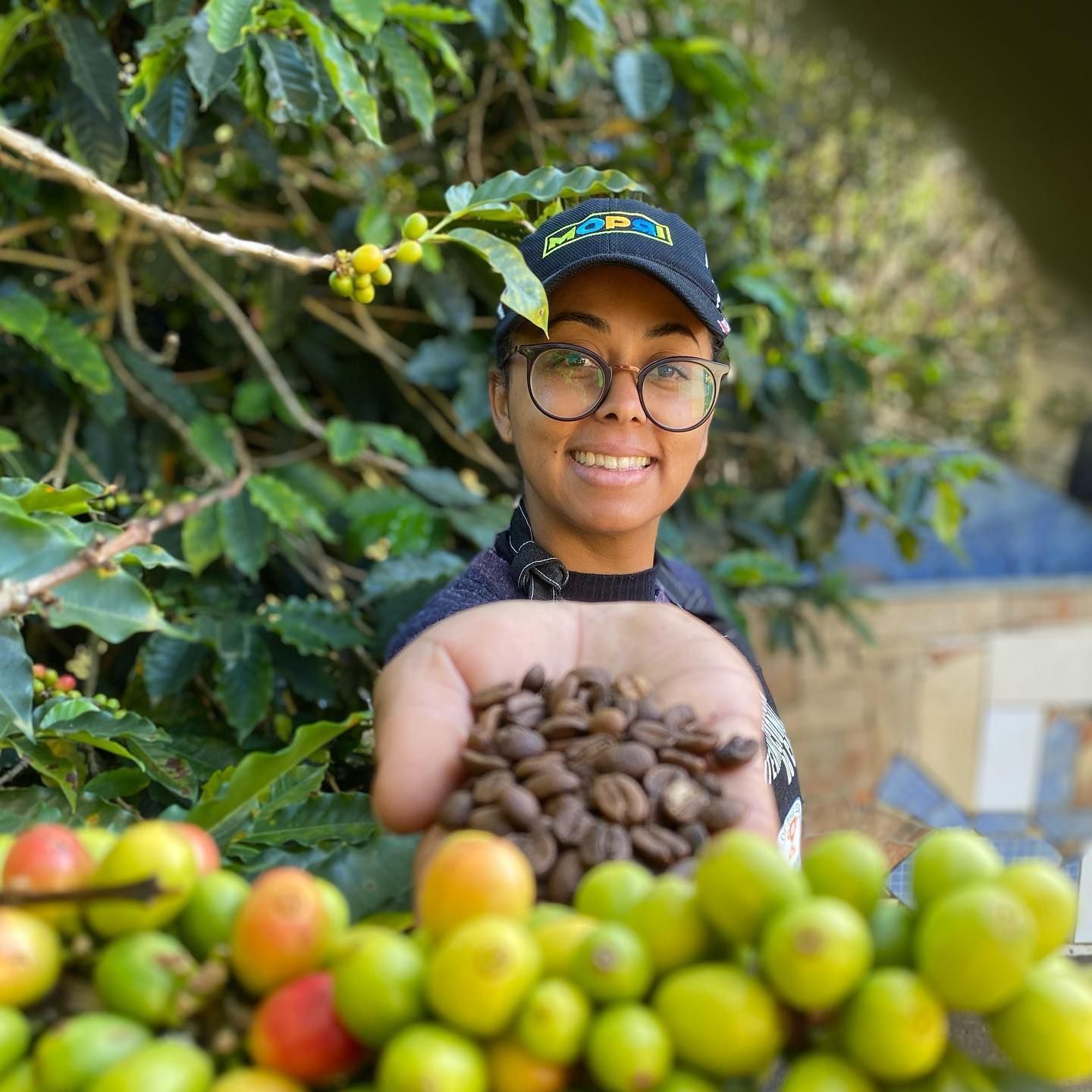 Cafeicultora mineira transforma ‘inimigo’ em ‘aliado’ e produz saca de café que vale R$ 34 mil