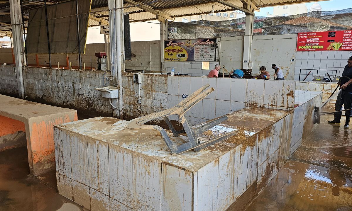 Produtores rurais em Ubá relatam perdas após tragédia das chuvas