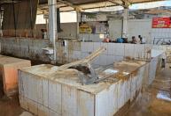 Produtores rurais em Ubá relatam perdas após tragédia das chuvas