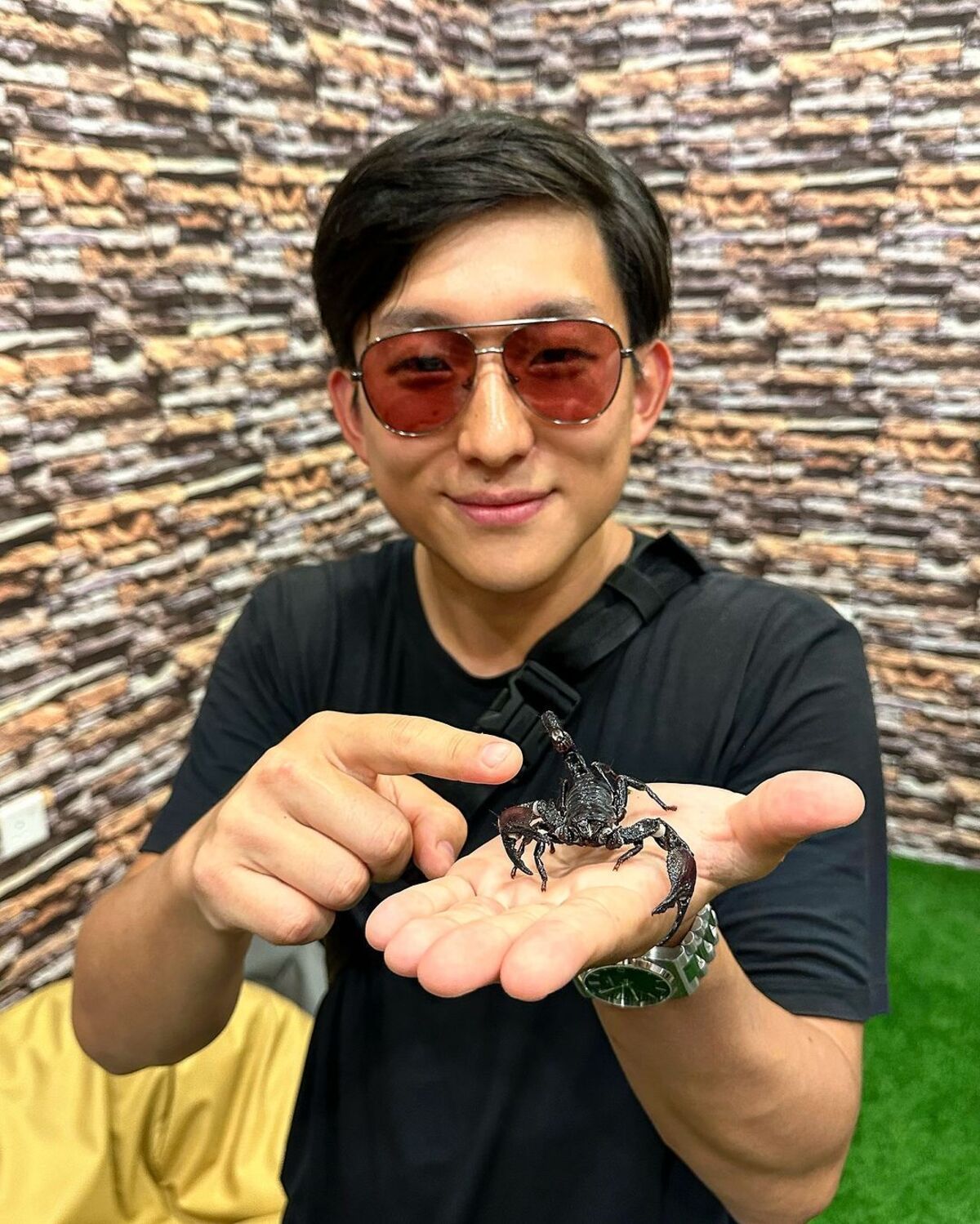 Pyong Lee se chama Jaime; confira nomes verdadeiros de 15 celebridades brasileiras