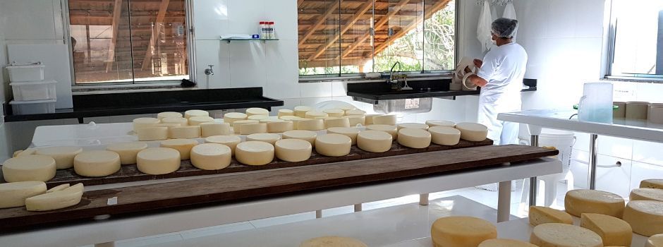 Governador em exercício participa de cerimônia sobre reconhecimento dos produtores de queijo artesanal