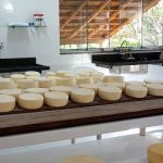 Governador em exercício participa de cerimônia sobre reconhecimento dos produtores de queijo artesanal