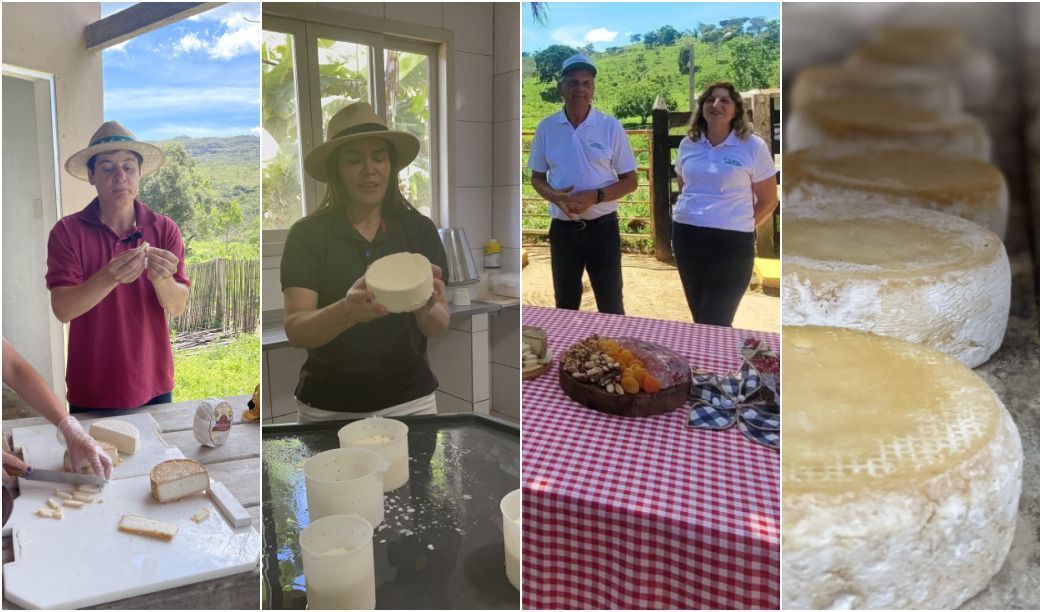 Congelador ou na mesa da cozinha? Produtores ensinam a 'cuidar' do Queijo Minas Artesanal