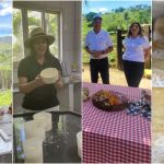 Congelador ou na mesa da cozinha? Produtores ensinam a 'cuidar' do Queijo Minas Artesanal
