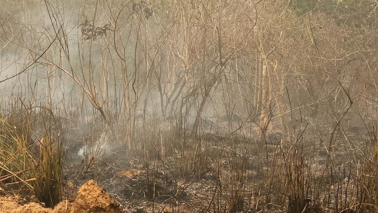 Crise climática