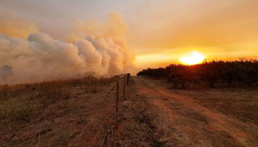 Calor se intensifica e pelo menos 15 cidades de São Paulo registram focos de incêndio | CNN Brasil