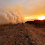 Onda de Calor: com temperaturas de até 40ºC, São Paulo está em alerta para incêndios
