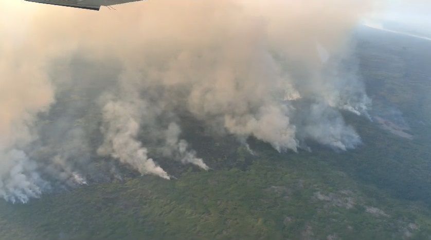 AGU cobra R$ 89 milhões de acusados de causar queimadas na Amazônia