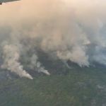 AGU cobra R$ 89 milhões de acusados de causar queimadas na Amazônia