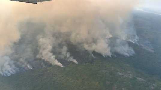 Pantanal: município sul-matogrossense lidera focos de incêndio em junho | CNN Brasil