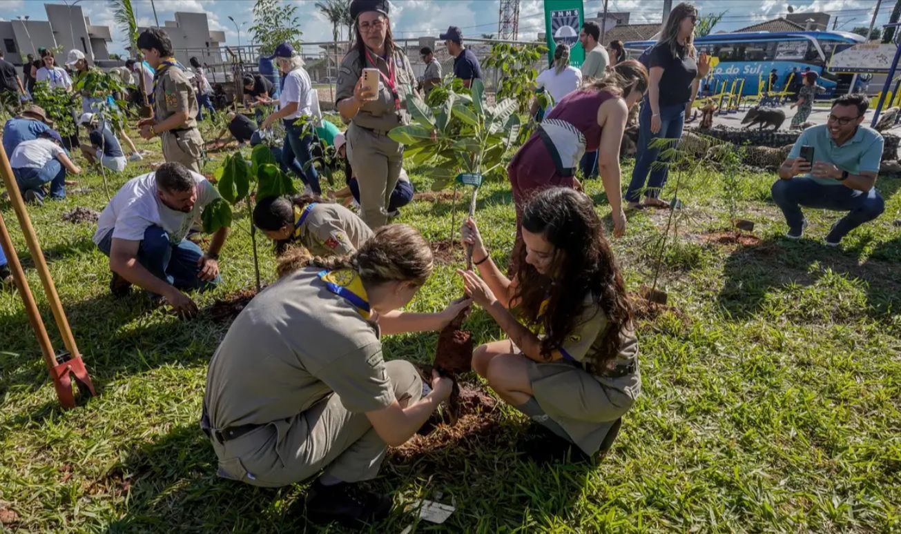 COP15 encerra com plantio de mais de 250 mudas de árvores nativas