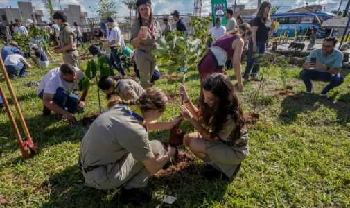 Jovens plantam muda durante a COP15 em um espaço aberto com grama verde. Pessoas estão reunidas ao redor