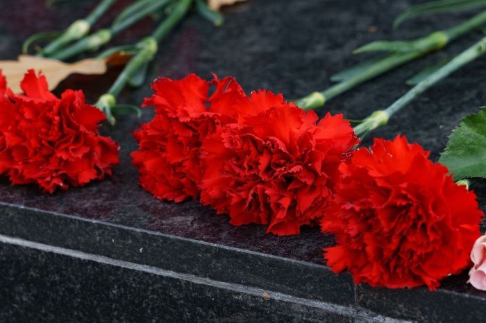 Cravos vermelhos foram colocados nas armas dos oficiais e são símbolo da data