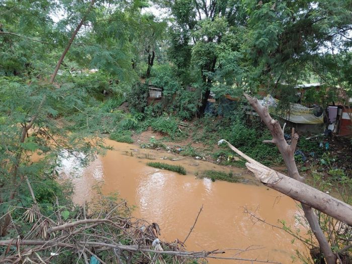 Região ribeirinha de Montes Claros 