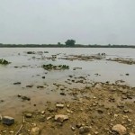 Rio Paraguai registra mínima histórica em ano mais seco no Pantanal