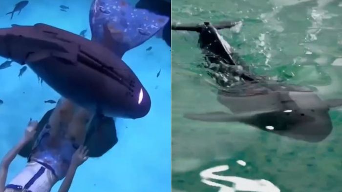 A empresa expandiu sua linha de produtos biônicos para incluir botos sem barbatanas, baleias-assassinas e golfinhos.