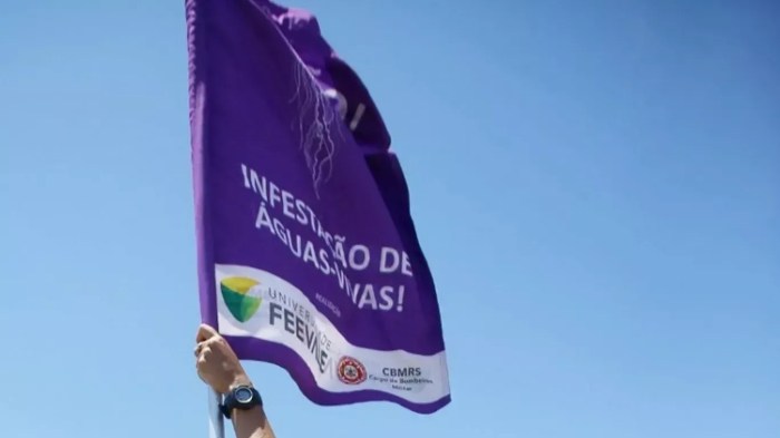 Especialistas fazem uma relação direta entre o aumento da temperatura superficial do mar e a proliferação de águas-vivas na costa brasileira. Especialistas fazem uma relação direta entre o aumento da temperatura superficial do mar e a proliferação de águas-vivas na costa brasileira.