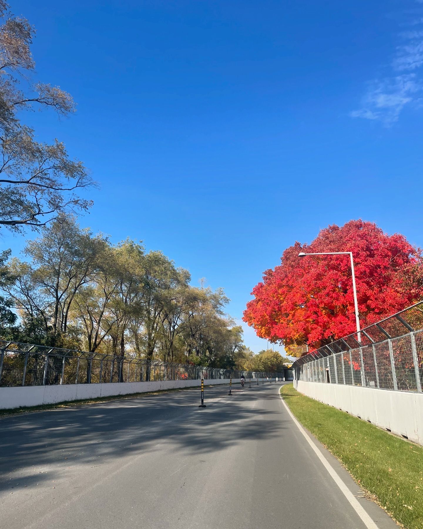Fórmula 1 planeja mudança em data de GP para reduzir impactos ambientais