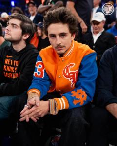 Timothée Chalamet assistem jogo entre Knicks e Pacers na final do Leste da NBA
