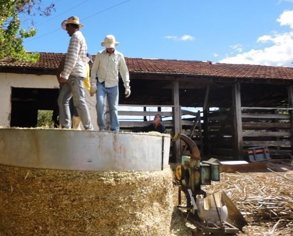 Silo da agricultura familiar pode ser compactado com pisoteio