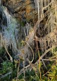 O dia mais frio do ano em Santa Catarina teve sincelo, chafariz congelado e via interditada por excesso de gelo