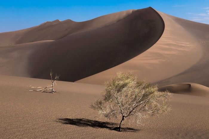 Deserto de Lut: Dunas de areia em Rig-e Yallan