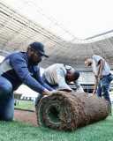 Imagens da troca do gramado na Arena MRV
