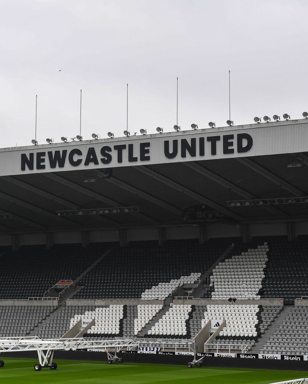 Newcastle x Manchester City: horário e onde assistir ao vivo pela Premier League