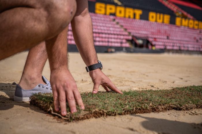 Torcedores 'implantam' gramado da Ilha do Retiro, estádio do Sport