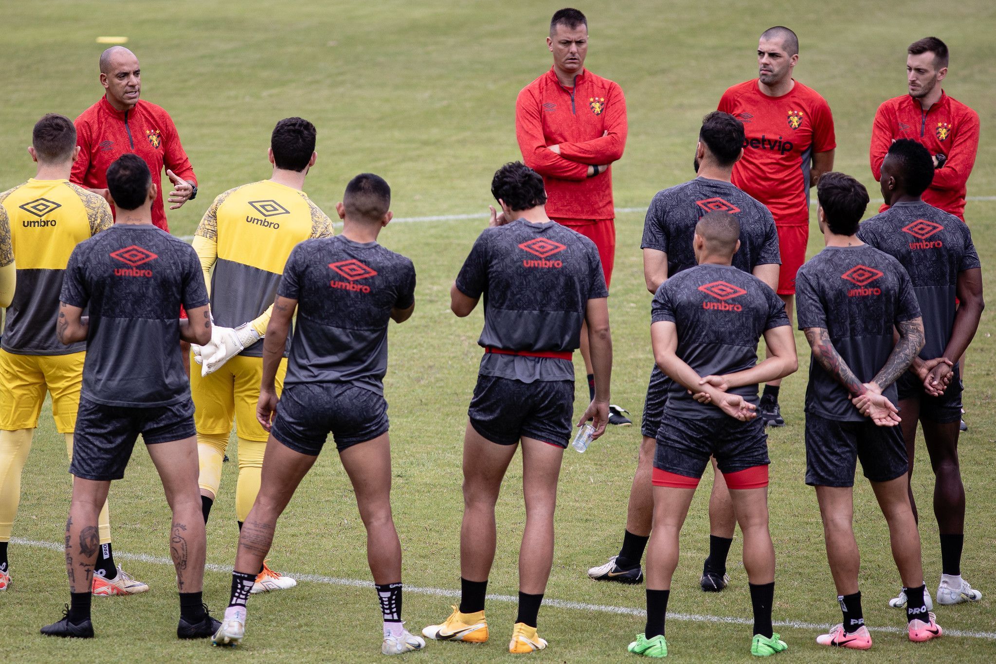 Série B: Sport recebe campeão Santos e torce contra rivais para alcançar acesso