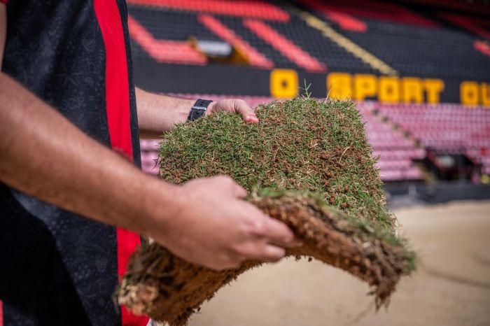 Torcedores 'implantam' gramado da Ilha do Retiro, estádio do Sport