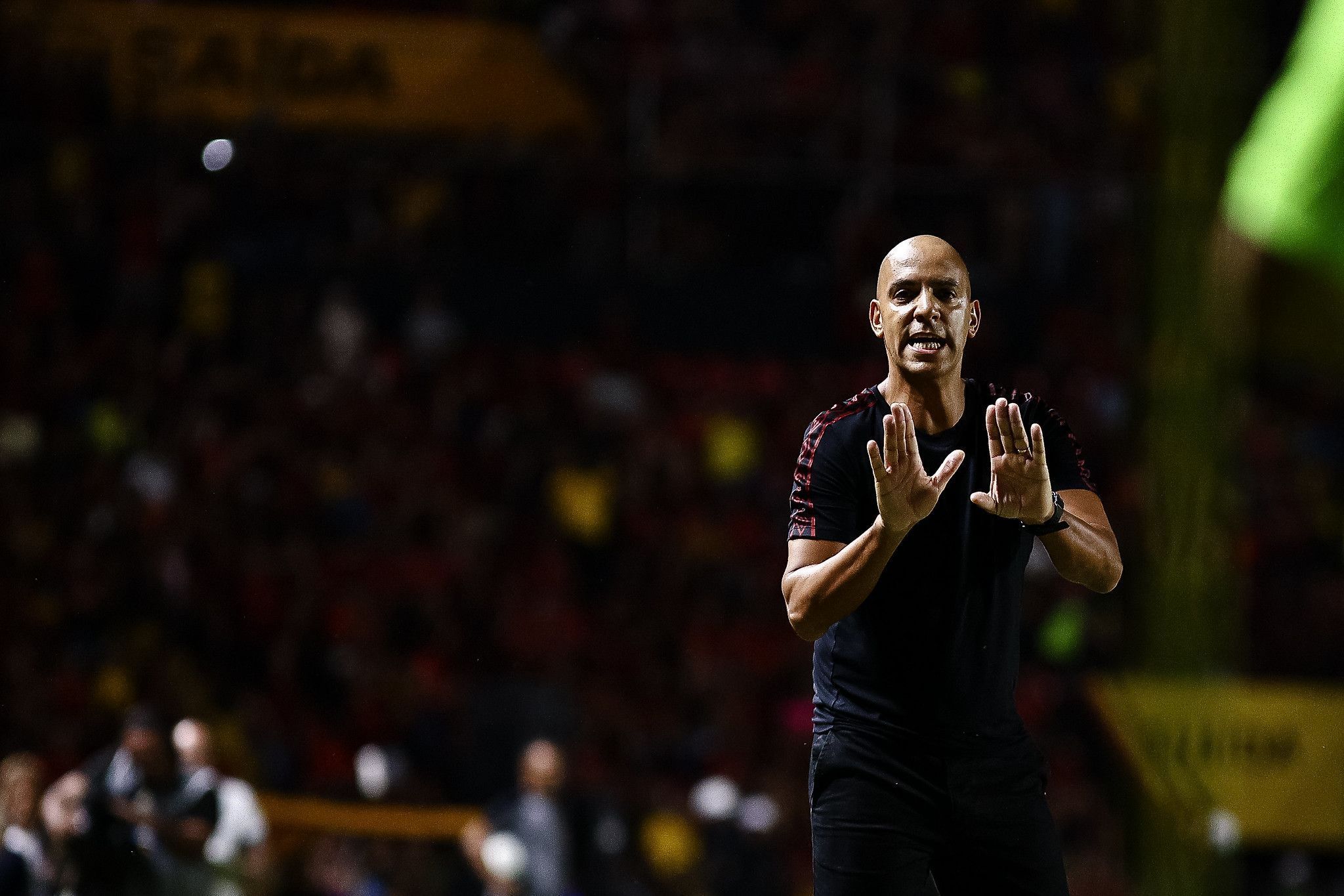 Ex-Cruzeiro, Pepa reage à primeira derrota no comando do Sport